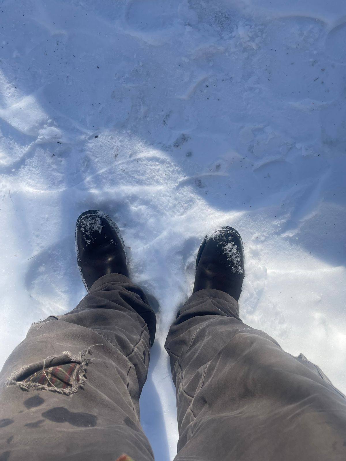 Photo by 9268Klondike on February 24, 2026 of the Attractions BILTBUCK Engineer Boots in Black Italian Horsebutt.