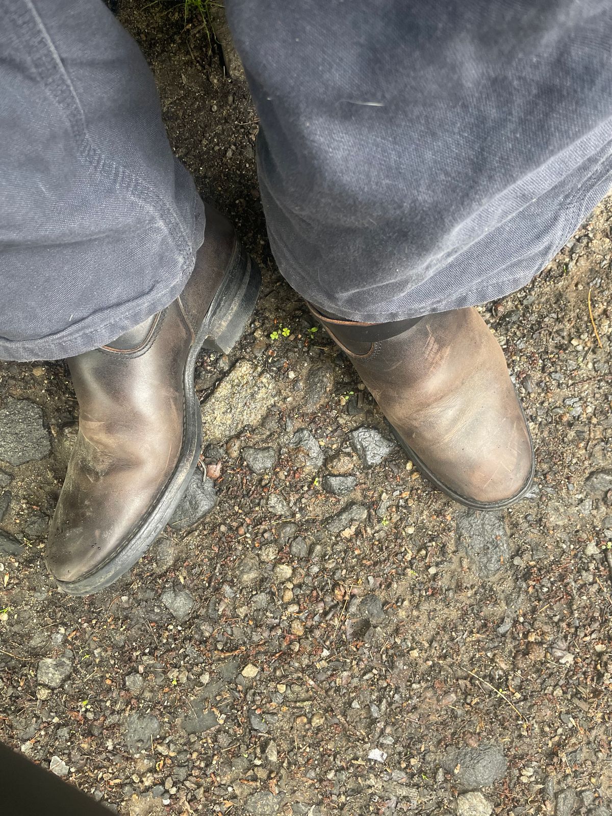 Photo by 9268Klondike on May 15, 2026 of the Attractions BILTBUCK Engineer Boots in Black Italian Horsebutt.