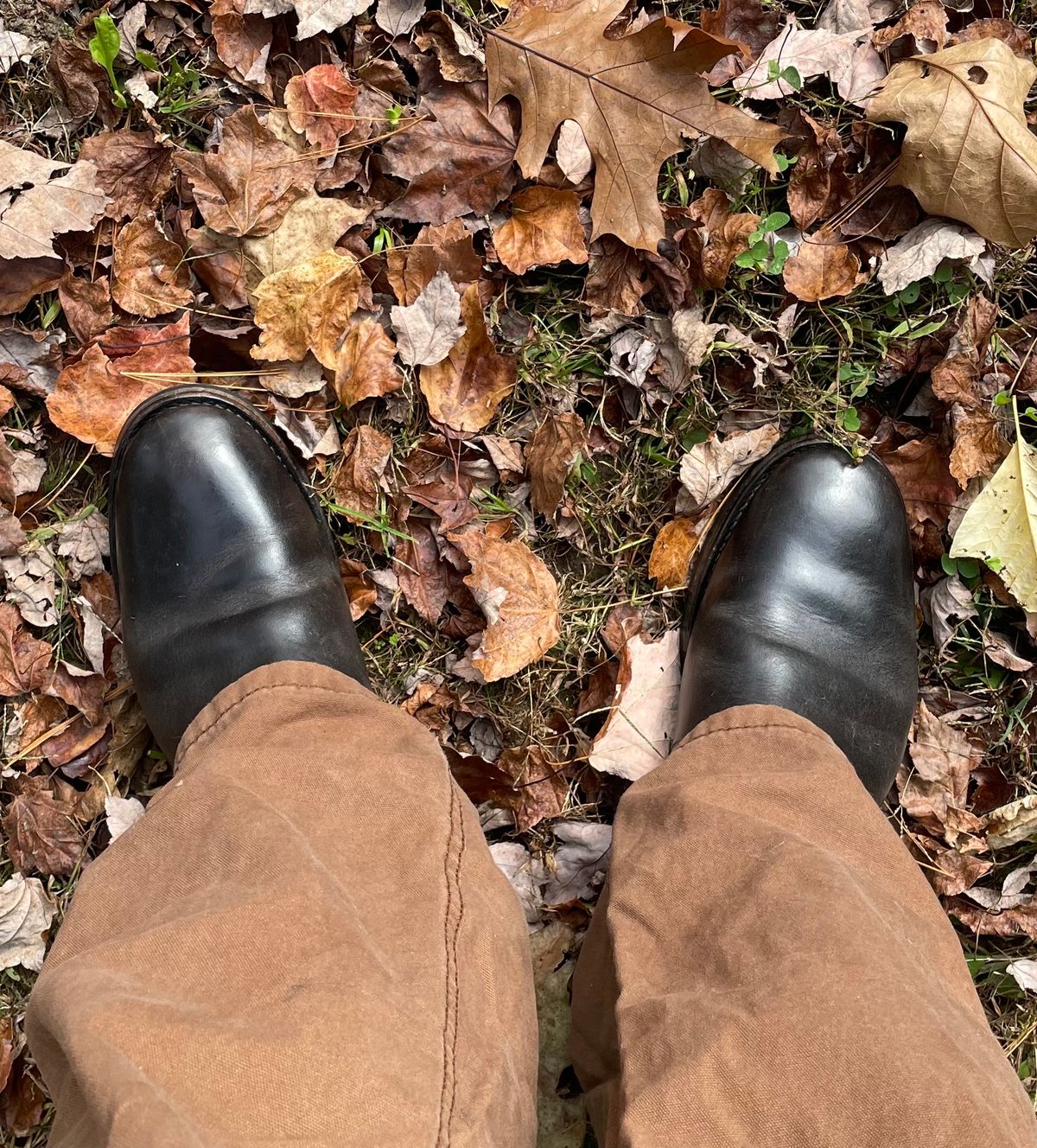 Photo by 9268Klondike on October 14, 2023 of the Attractions BILTBUCK Engineer Boots in Black Italian Horsebutt.