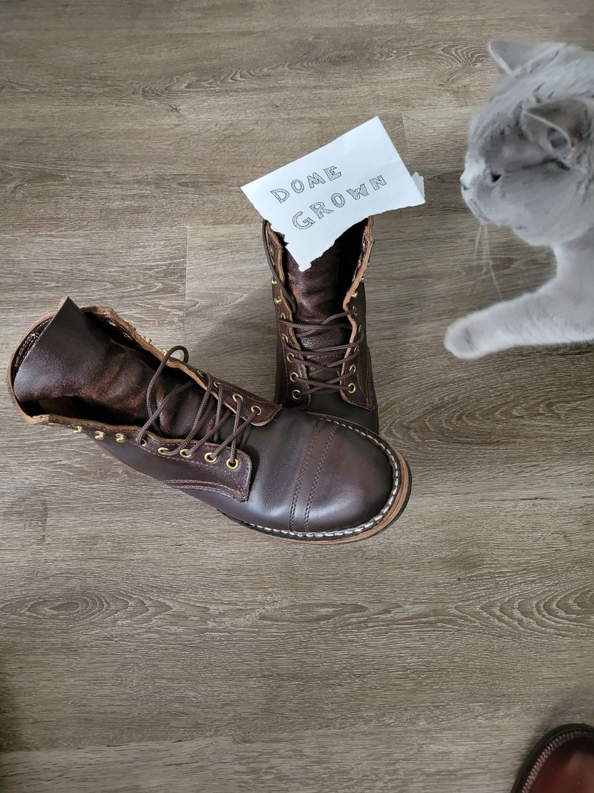 Photo by CrizzleLovesNaps on November 1, 2023 of the White's MP-M1TC in Seidel Brown Dress & Horween Dark Brown Waxed Flesh.