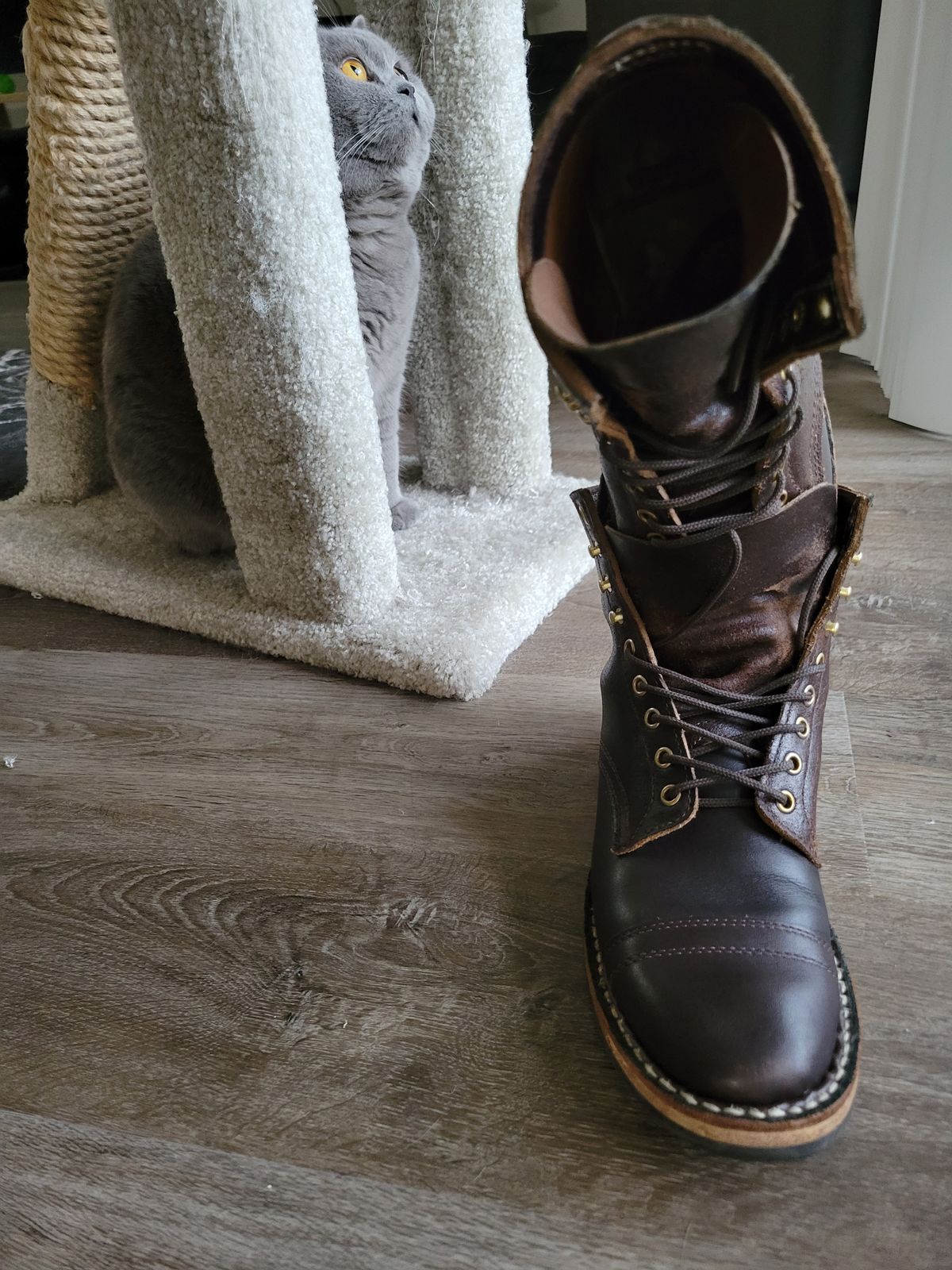 Photo by CrizzleLovesNaps on December 3, 2023 of the White's MP-M1TC in Seidel Brown Dress & Horween Dark Brown Waxed Flesh.