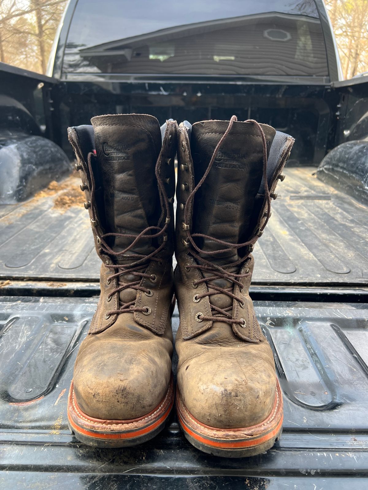 Photo by HensleyBrandon on January 2, 2024 of the Chippewa Thunderstruck 10" Logger in Brunette Waterproof Full Grain.