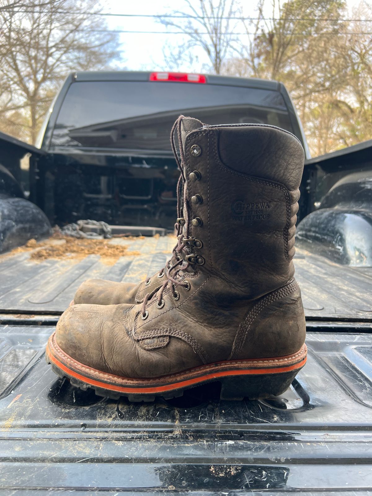 Photo by HensleyBrandon on January 2, 2024 of the Chippewa Thunderstruck 10" Logger in Brunette Waterproof Full Grain.