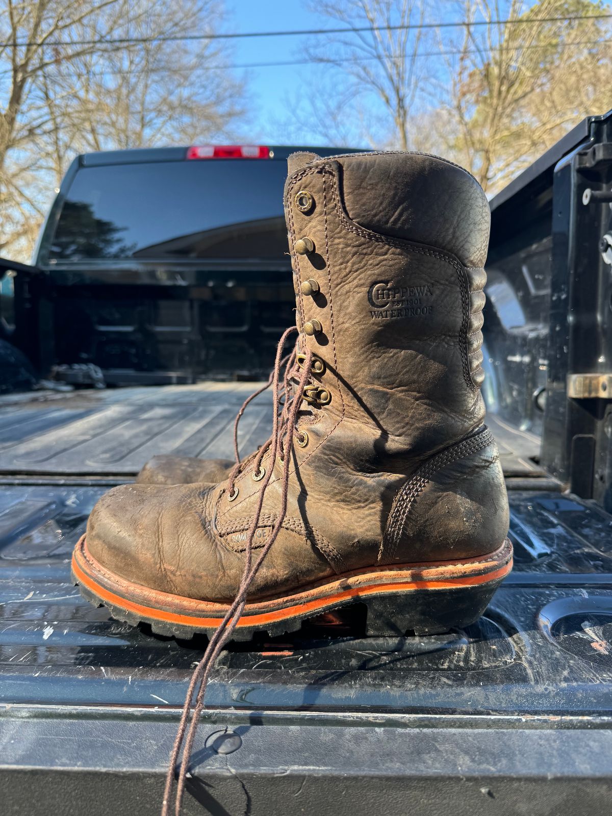 Photo by HensleyBrandon on February 5, 2024 of the Chippewa Thunderstruck 10" Logger in Brunette Waterproof Full Grain.