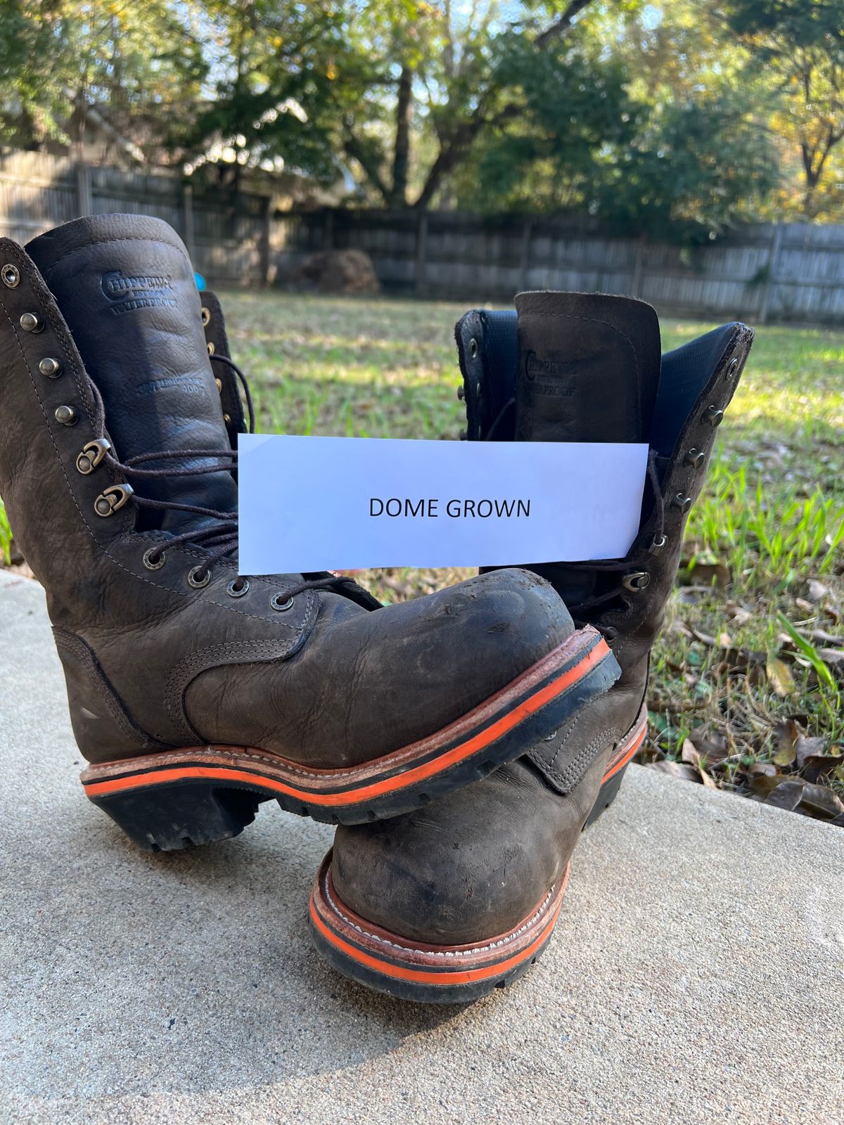Photo by HensleyBrandon on November 5, 2023 of the Chippewa Thunderstruck 10" Logger in Brunette Waterproof Full Grain.