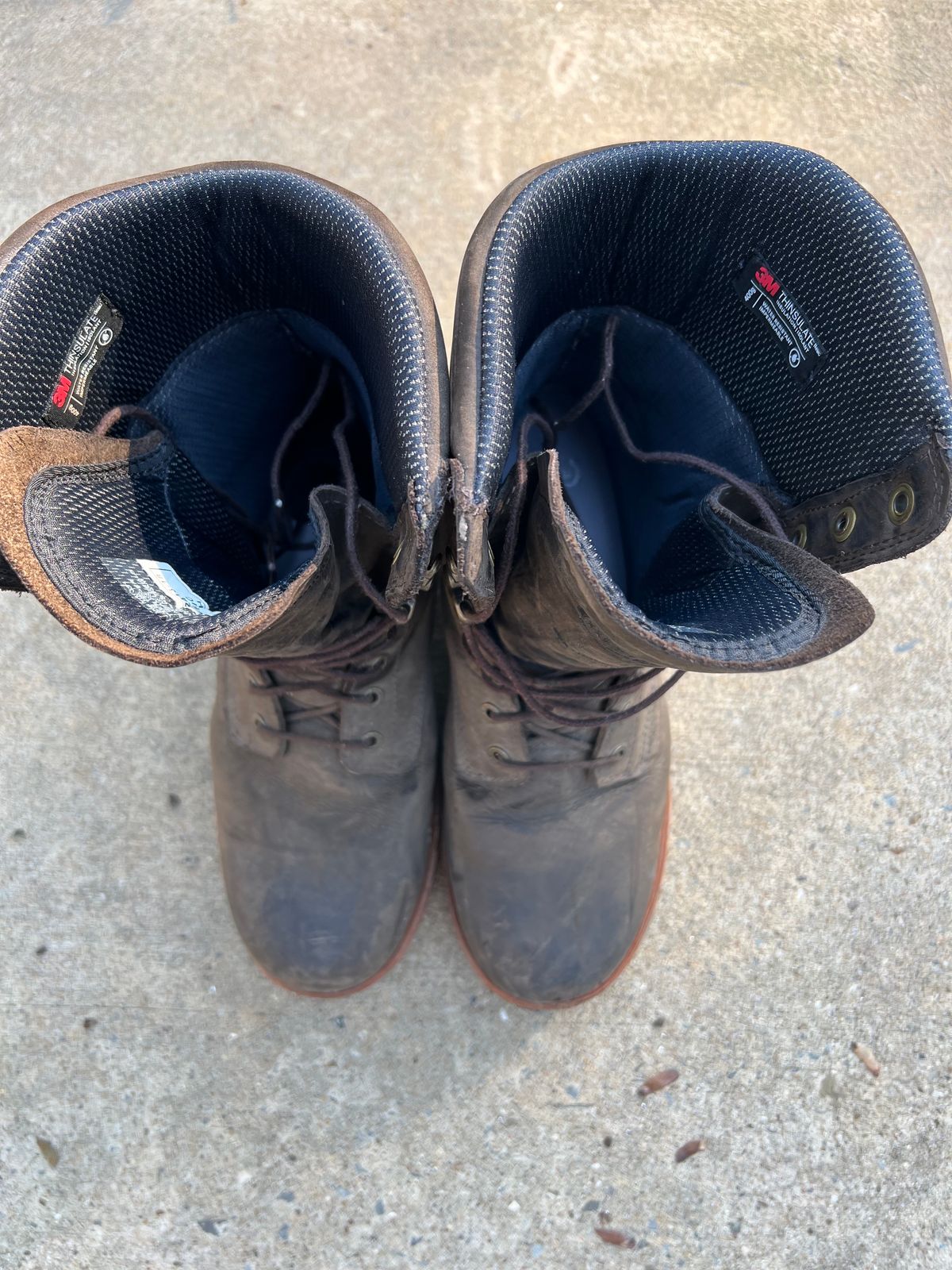 Photo by HensleyBrandon on November 5, 2023 of the Chippewa Thunderstruck 10" Logger in Brunette Waterproof Full Grain.
