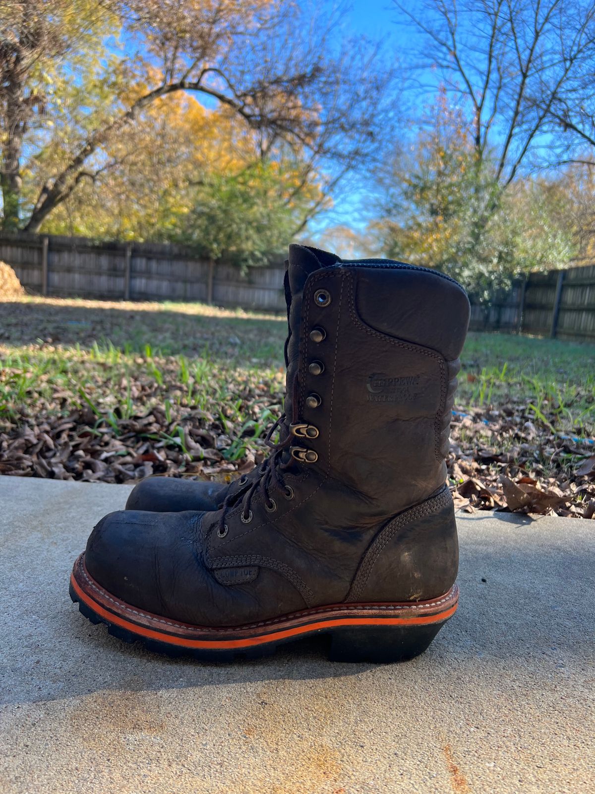 Photo by HensleyBrandon on December 5, 2023 of the Chippewa Thunderstruck 10" Logger in Brunette Waterproof Full Grain.