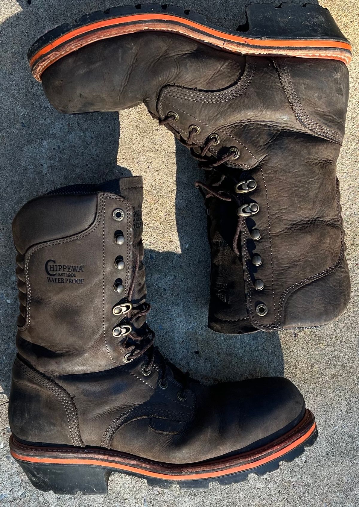 Photo by HensleyBrandon on December 5, 2023 of the Chippewa Thunderstruck 10" Logger in Brunette Waterproof Full Grain.