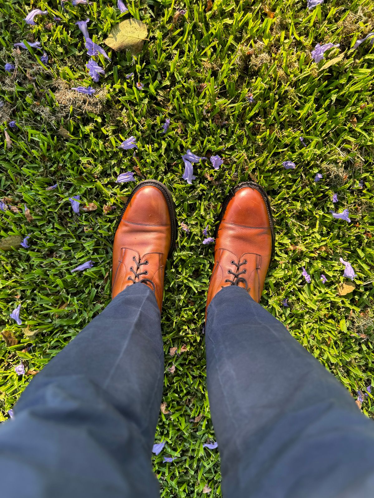 Photo by downunderthunder on December 5, 2023 of the Edward Green Galway in Rosewood Country Calf.