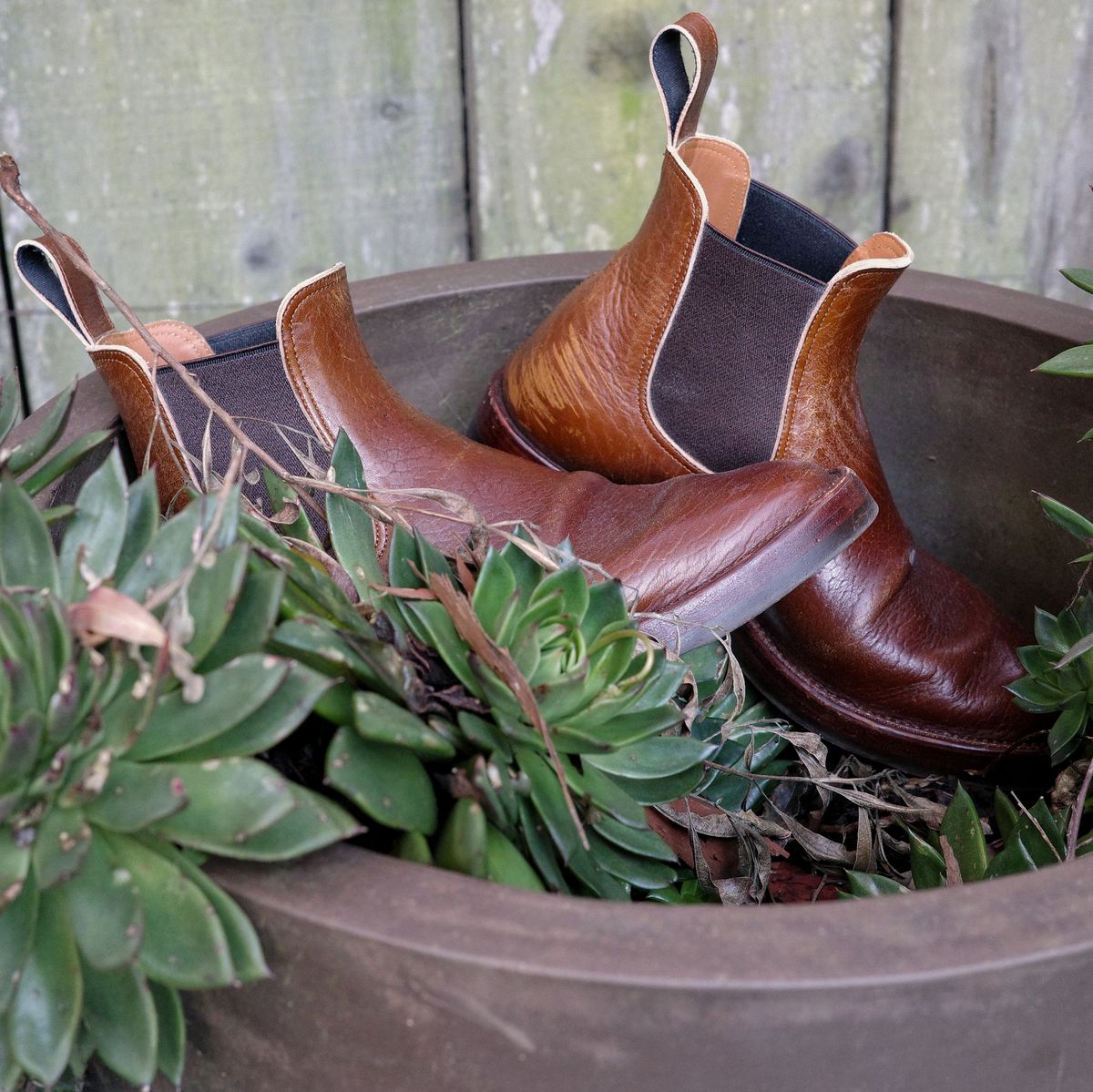 Photo by ath on March 6, 2023 of the Benzein The Seventh Chelsea Boot in Shinki Brown Oiled Horsebutt.