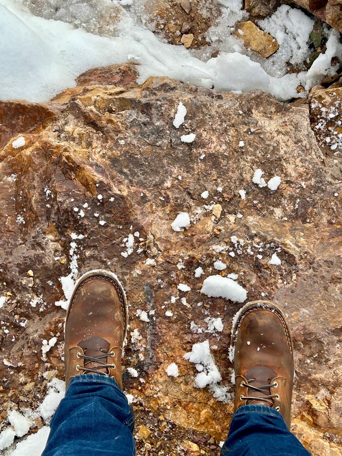 Photo by blytle on March 5, 2024 of the Nicks Traveler in Horween Orange Predator.