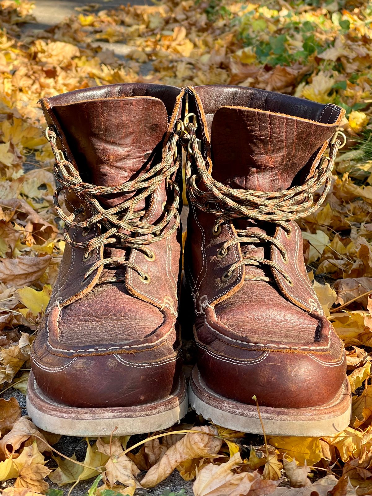 Photo by bootsandblocks on November 3, 2022 of the Grant Stone Field Boot in Seidel Walnut Bison.
