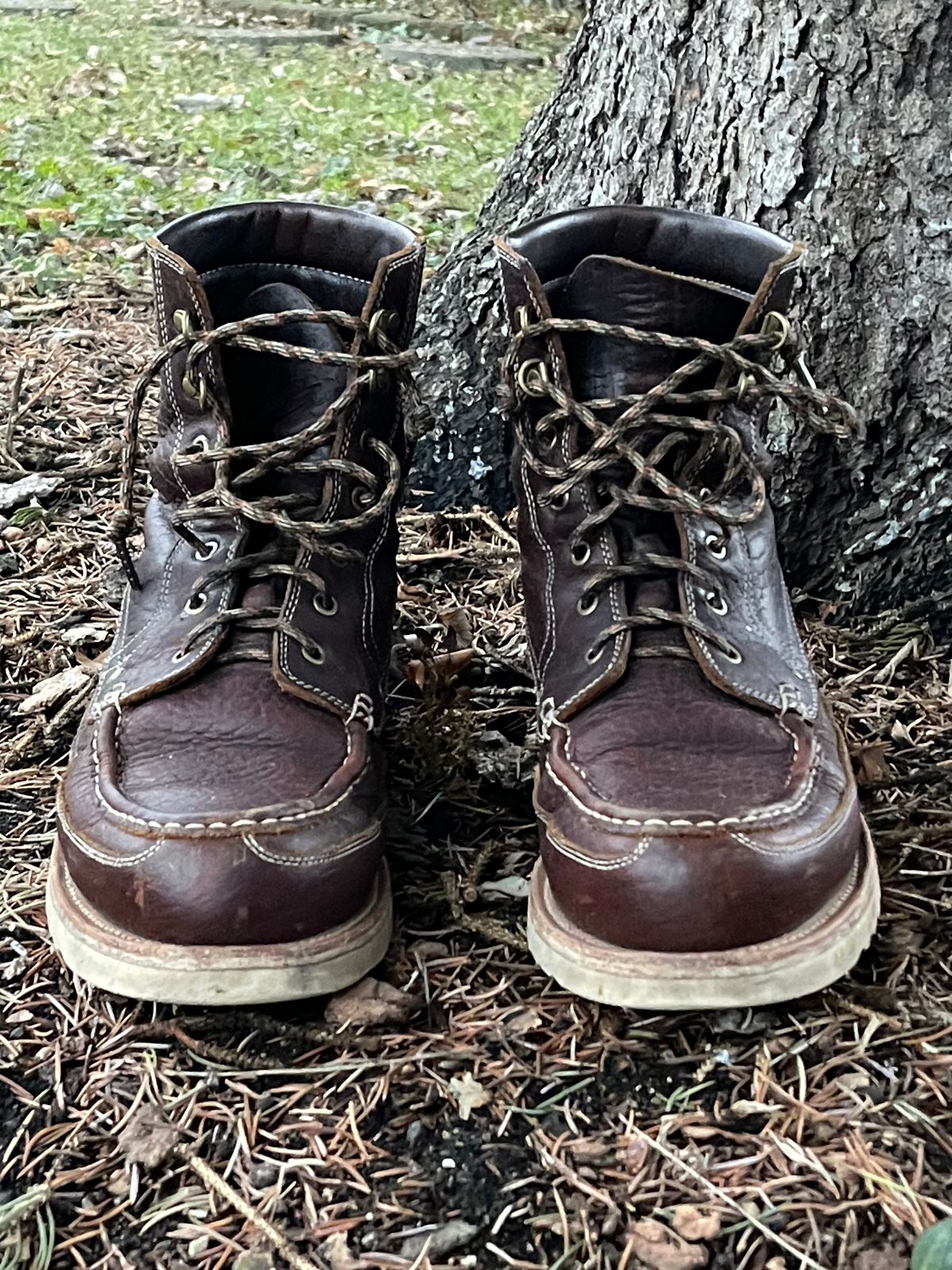 Photo by bootsandblocks on January 4, 2023 of the Grant Stone Field Boot in Seidel Walnut Bison.