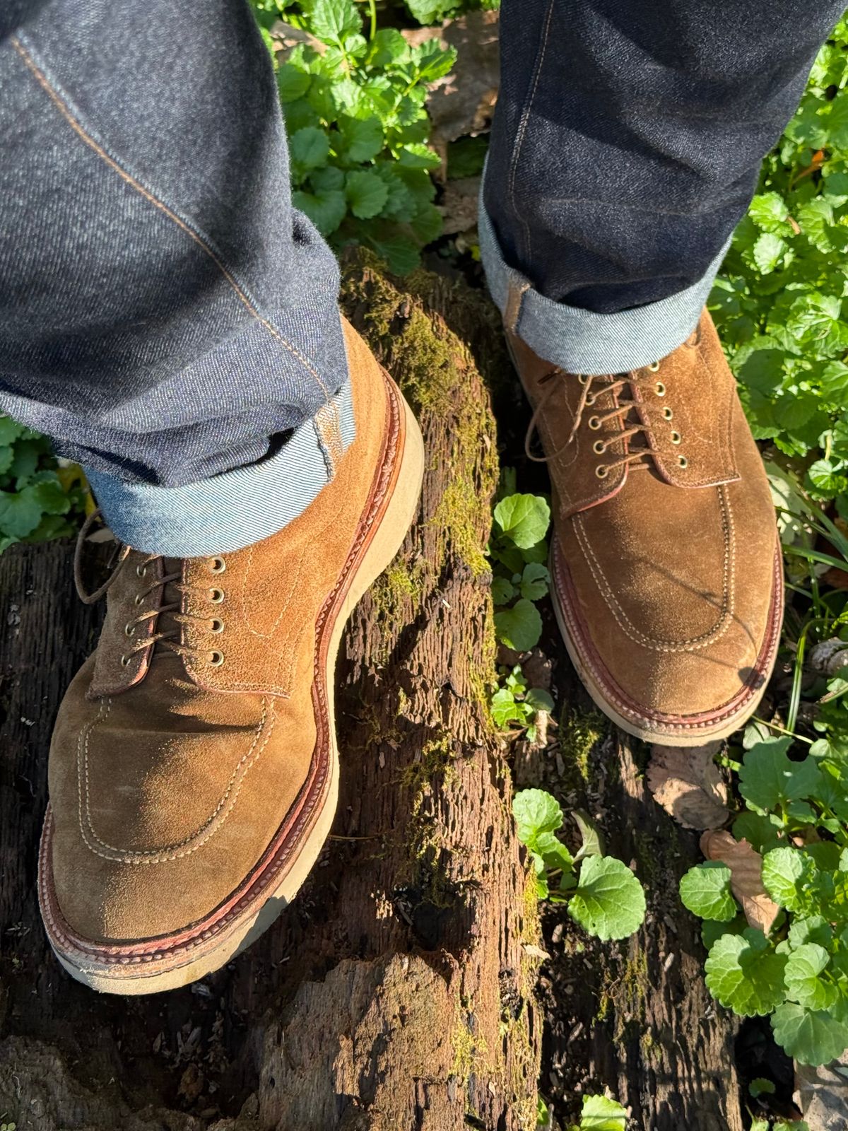 Photo by bootsandblocks on October 18, 2024 of the Alden Indy Boot in Snuff Suede.