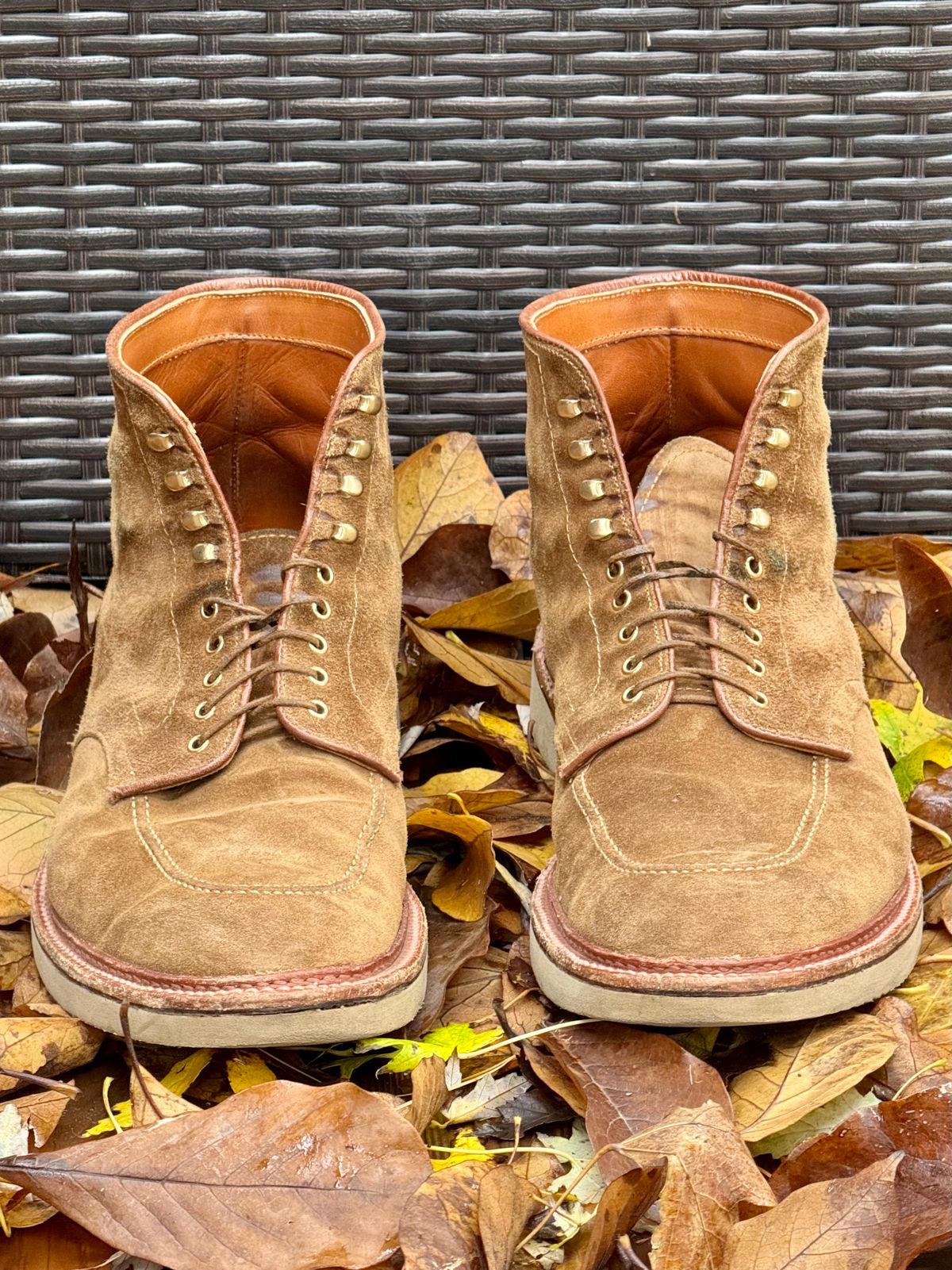 Photo by bootsandblocks on November 5, 2024 of the Alden Indy Boot in Snuff Suede.