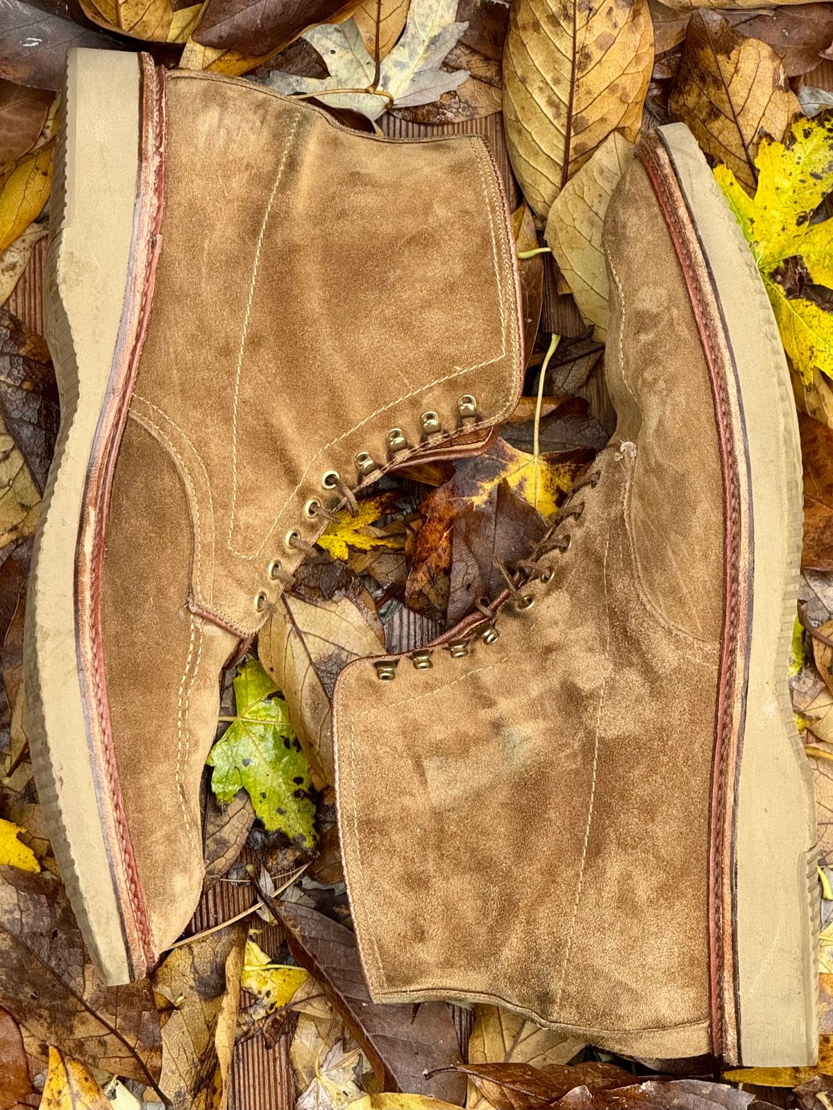 Photo by bootsandblocks on November 5, 2024 of the Alden Indy Boot in Snuff Suede.