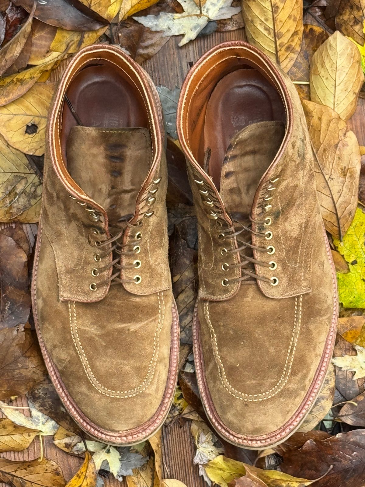 Photo by bootsandblocks on November 5, 2024 of the Alden Indy Boot in Snuff Suede.
