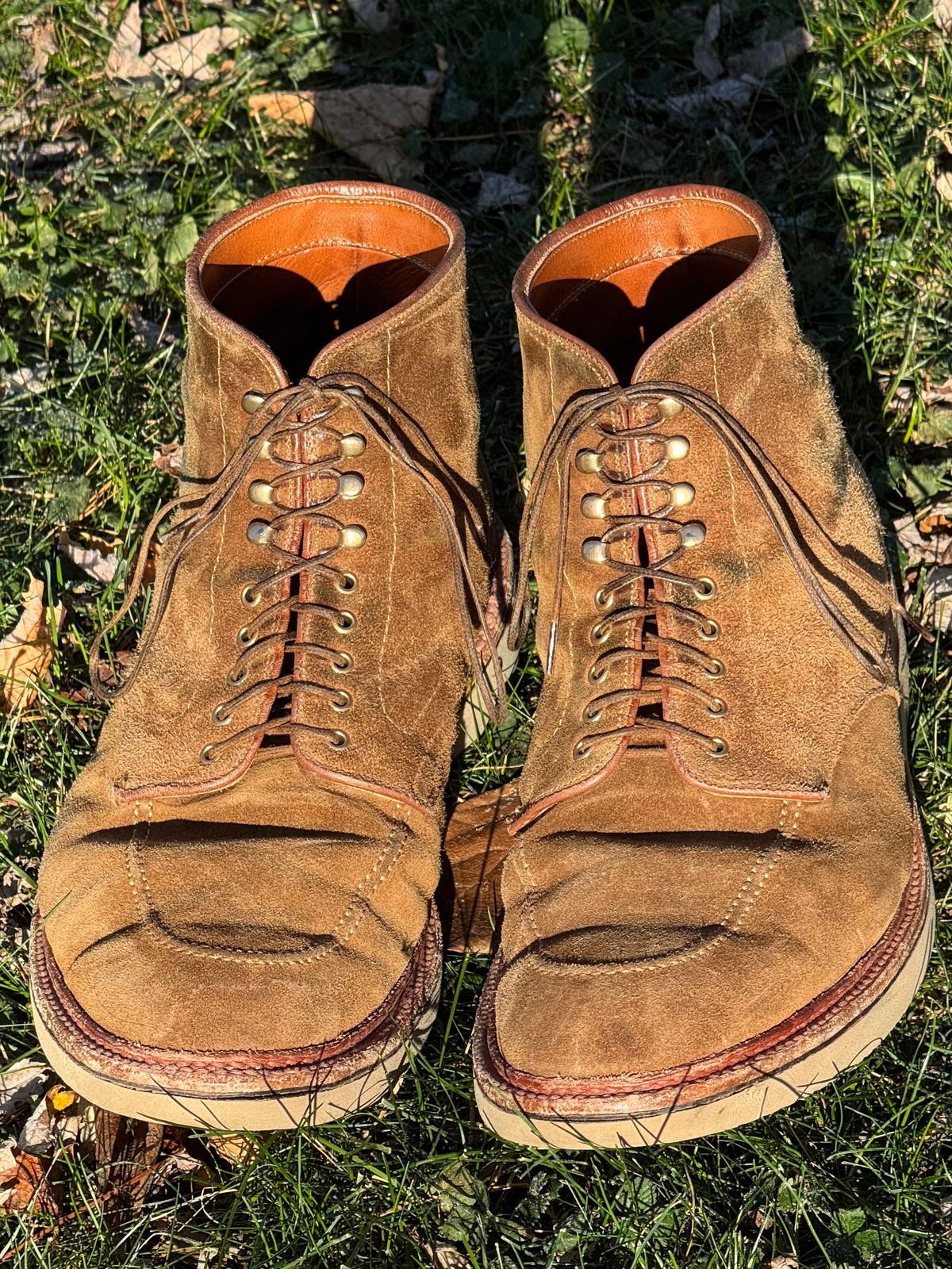 Photo by bootsandblocks on December 3, 2024 of the Alden Indy Boot in Snuff Suede.