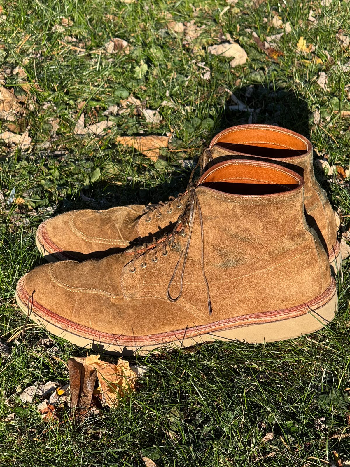 Photo by bootsandblocks on December 3, 2024 of the Alden Indy Boot in Snuff Suede.