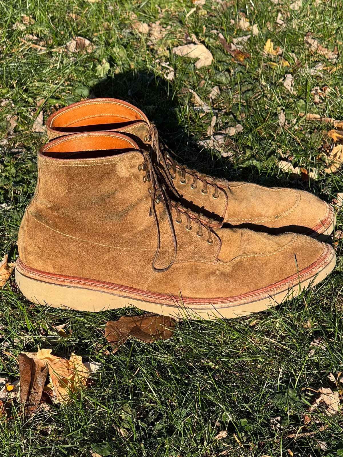Photo by bootsandblocks on December 3, 2024 of the Alden Indy Boot in Snuff Suede.