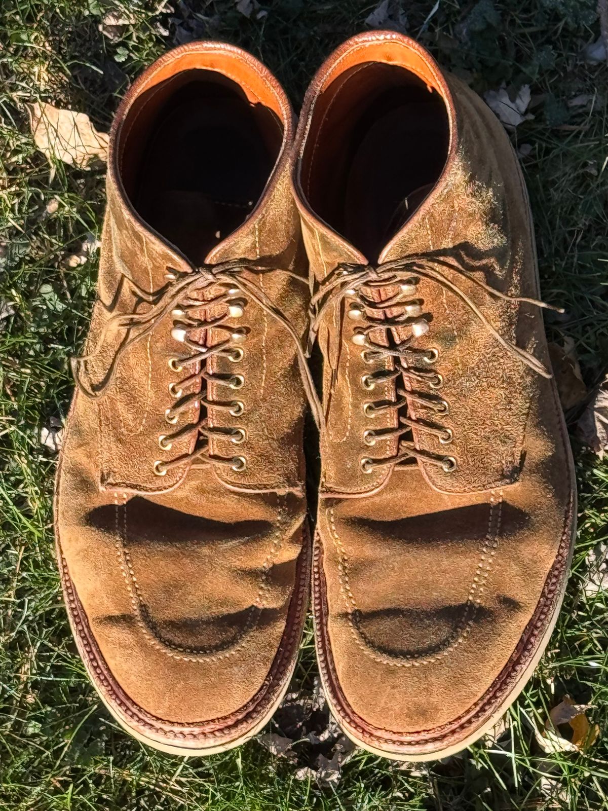 Photo by bootsandblocks on December 3, 2024 of the Alden Indy Boot in Snuff Suede.