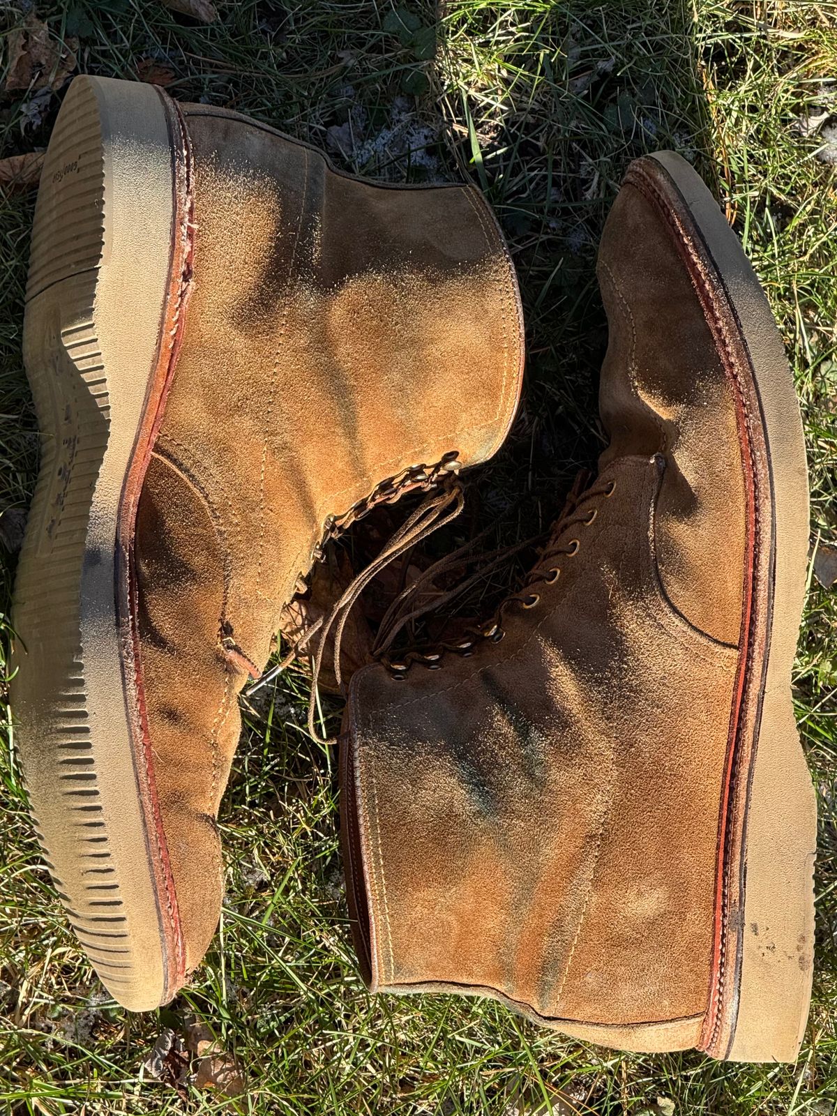Photo by bootsandblocks on January 4, 2025 of the Alden Indy Boot in Snuff Suede.