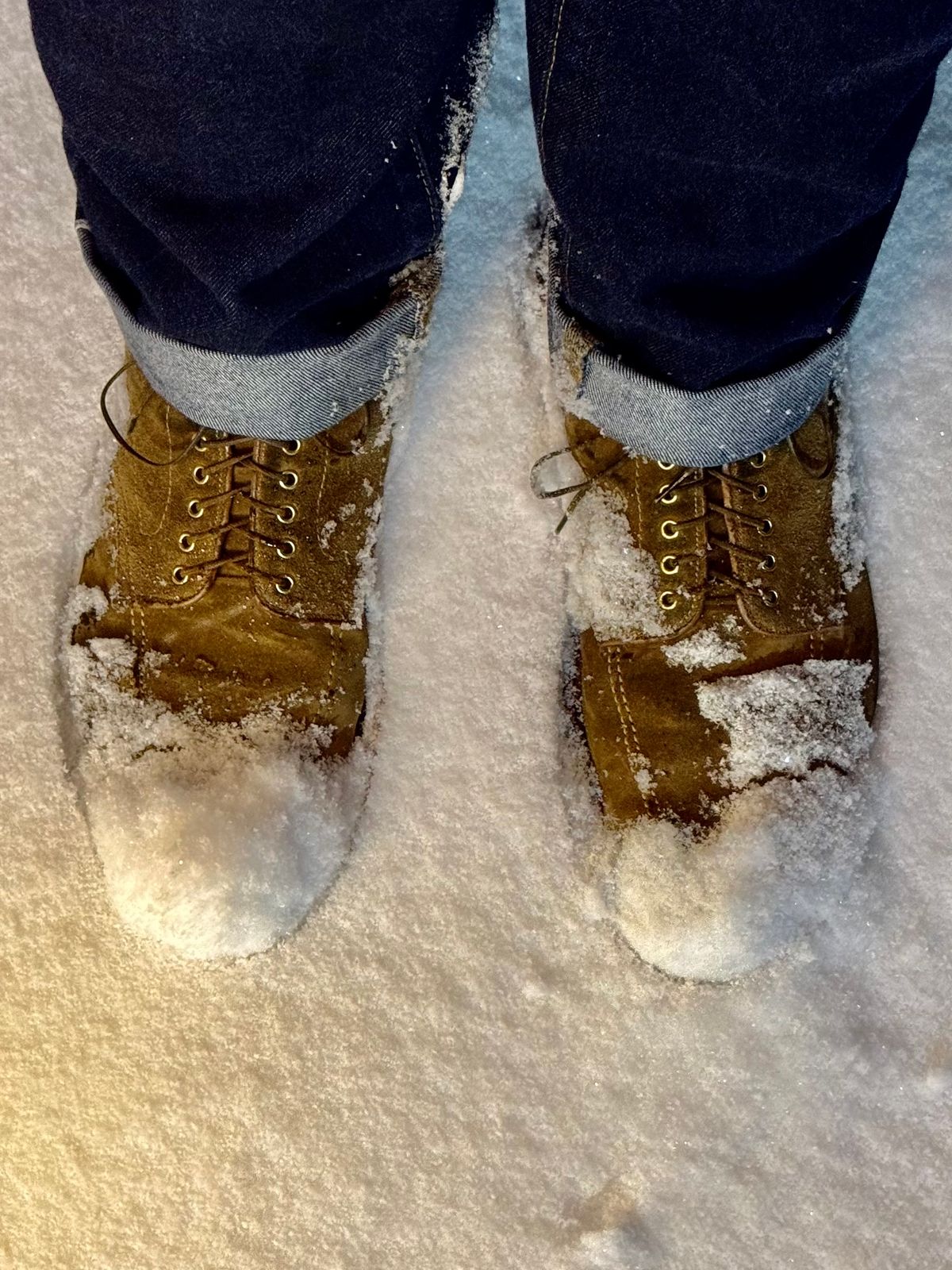Photo by bootsandblocks on January 11, 2025 of the Alden Indy Boot in Snuff Suede.