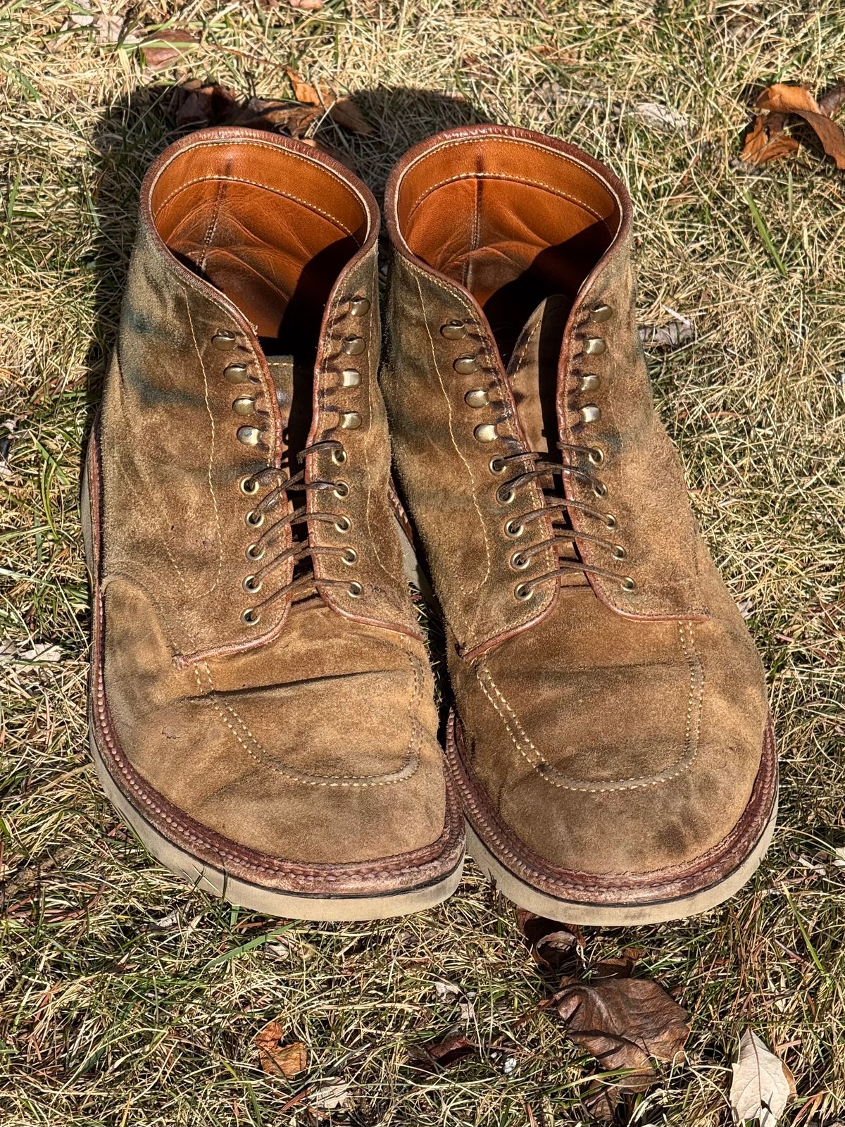 Photo by bootsandblocks on February 28, 2025 of the Alden Indy Boot in Snuff Suede.
