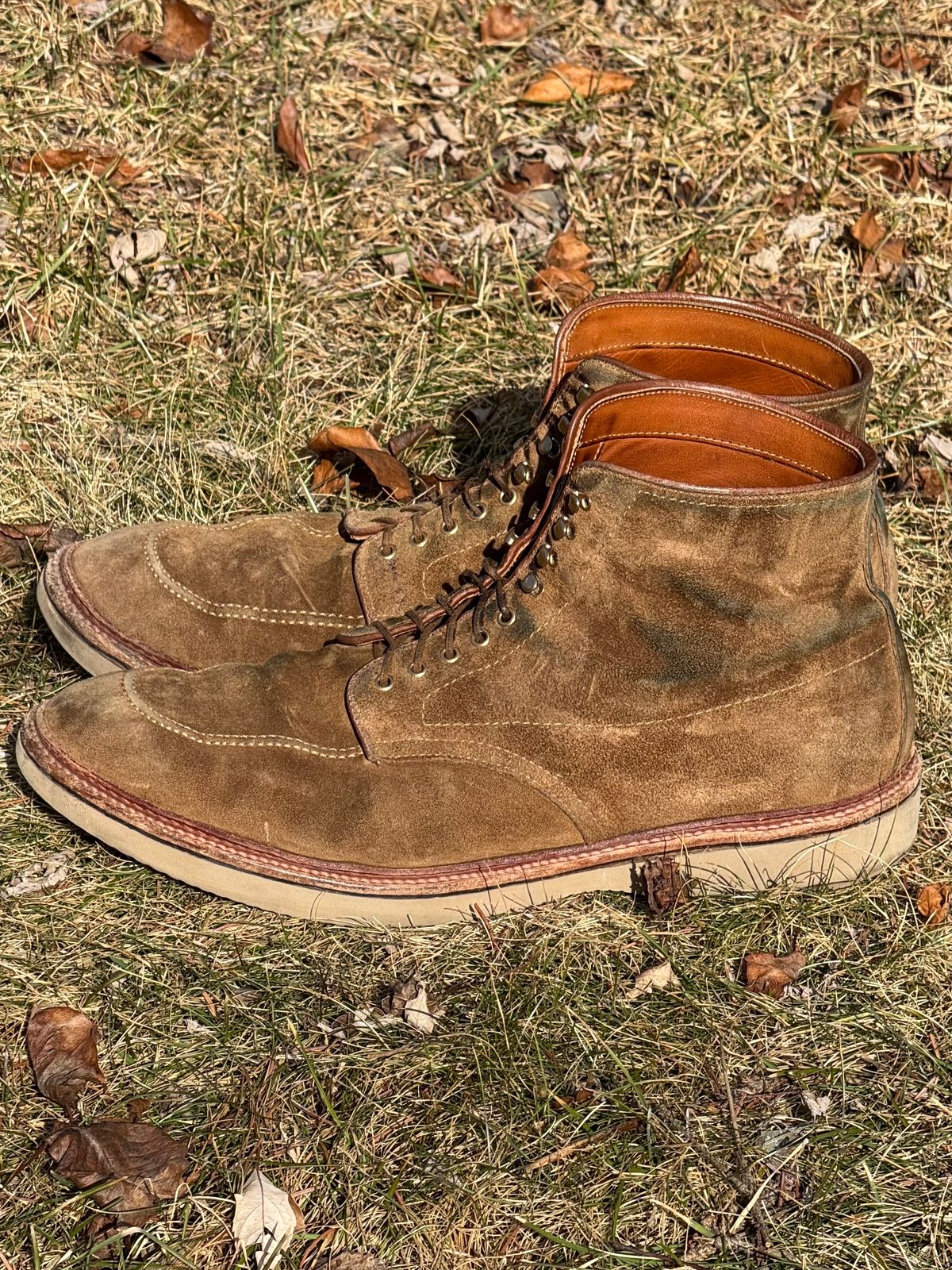 Photo by bootsandblocks on February 28, 2025 of the Alden Indy Boot in Snuff Suede.