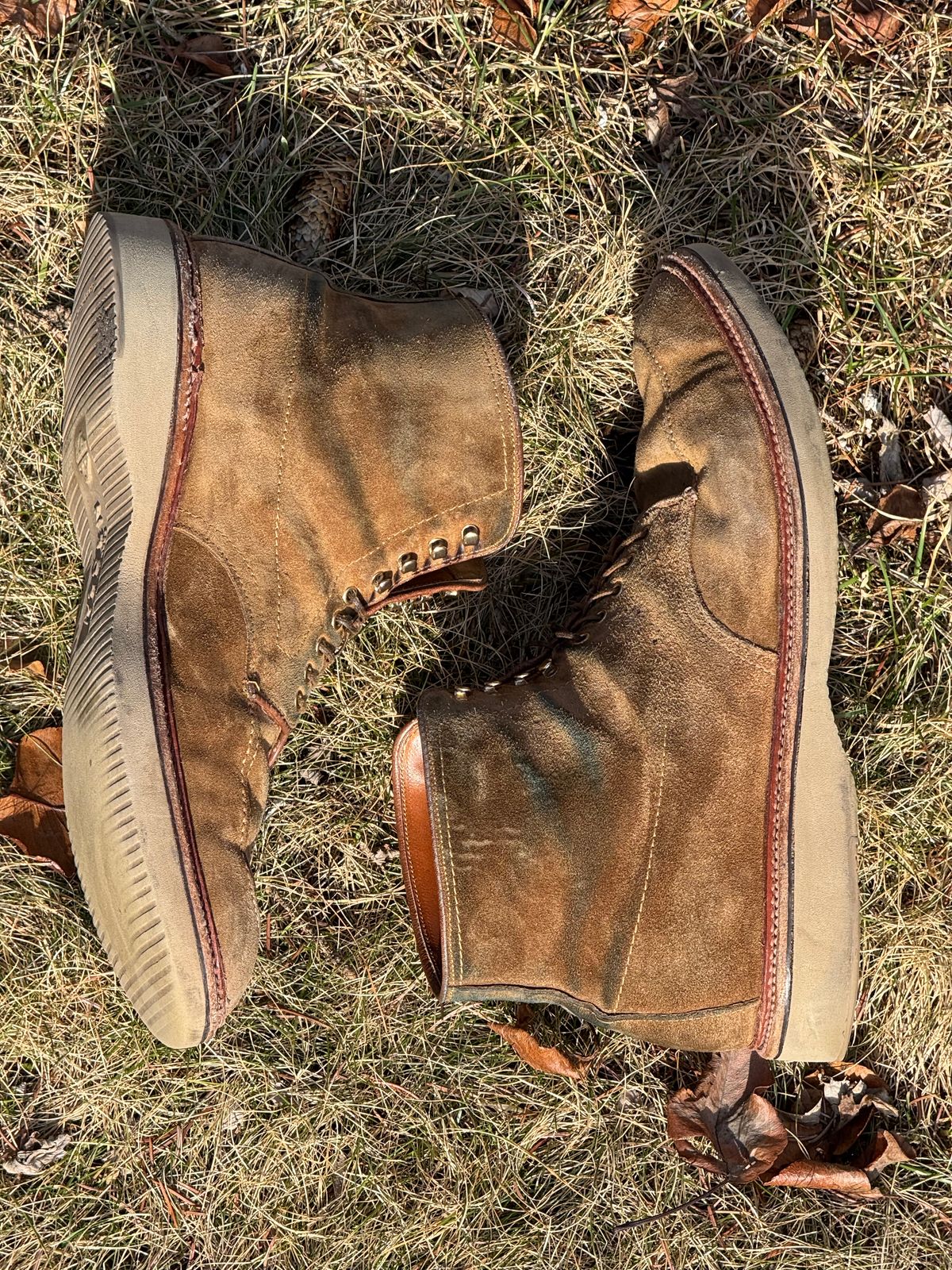 Photo by bootsandblocks on February 28, 2025 of the Alden Indy Boot in Snuff Suede.