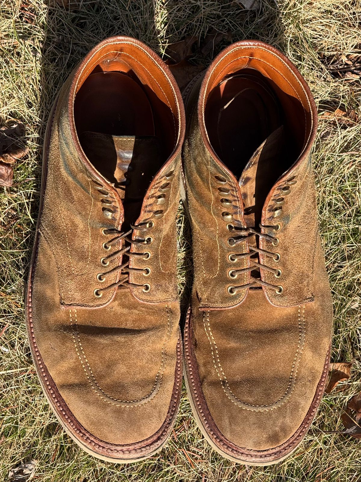 Photo by bootsandblocks on February 28, 2025 of the Alden Indy Boot in Snuff Suede.
