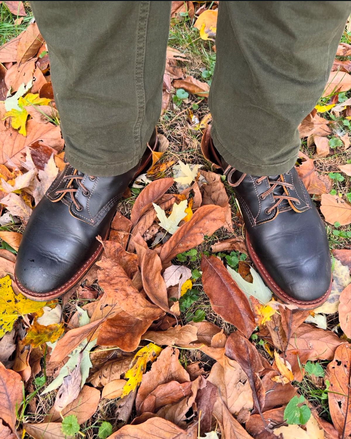 Photo by bootsandblocks on November 4, 2024 of the Red Wing Beckman Flatbox in S.B. Foot Black Klondike.