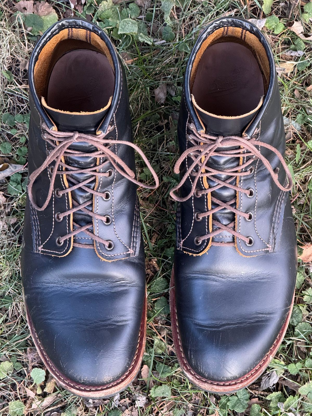 Photo by bootsandblocks on December 2, 2024 of the Red Wing Beckman Flatbox in S.B. Foot Black Klondike.