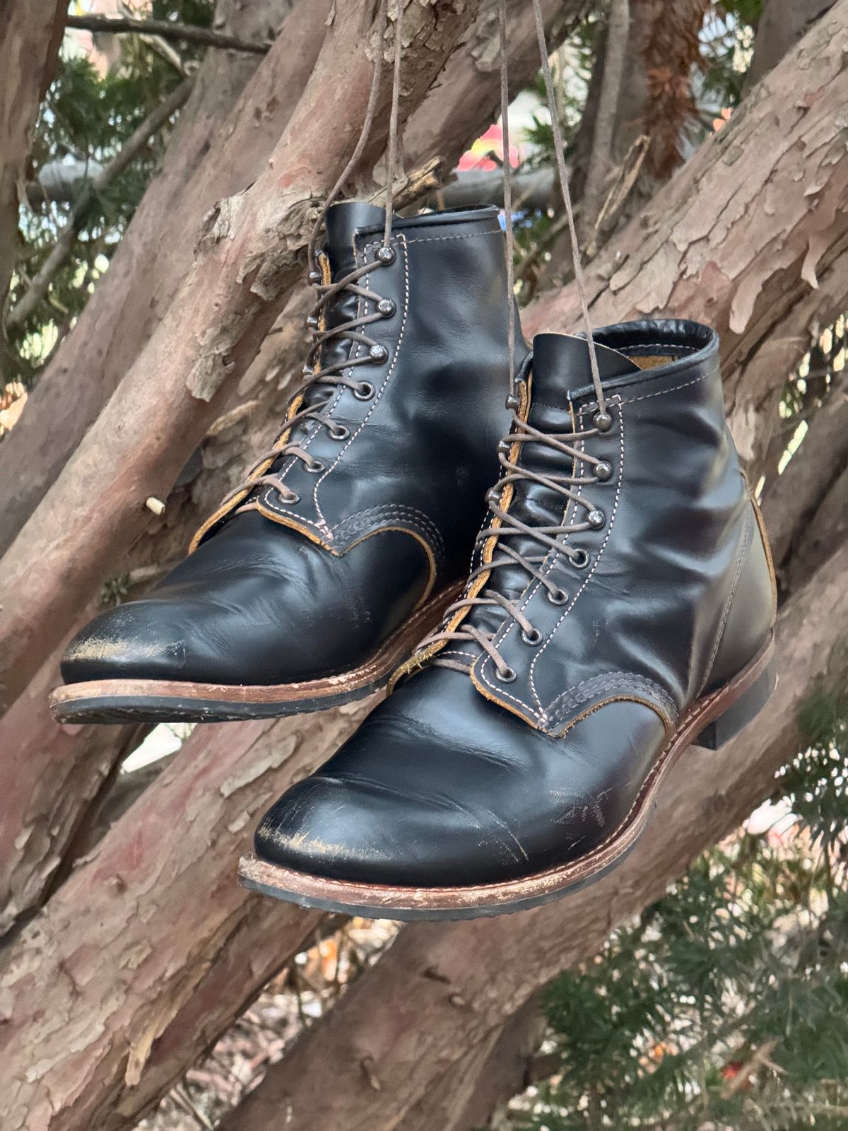 Photo by bootsandblocks on January 5, 2025 of the Red Wing Beckman Flatbox in S.B. Foot Black Klondike.