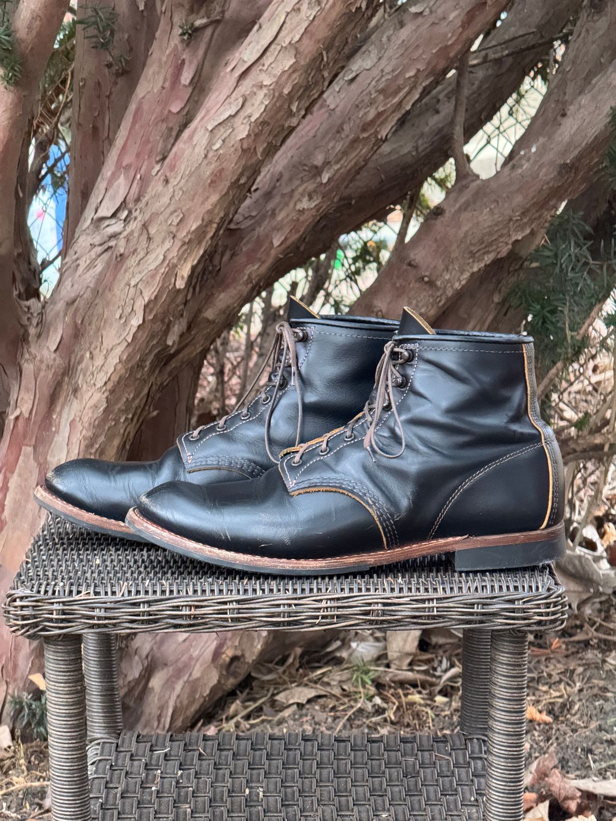 Photo by bootsandblocks on January 5, 2025 of the Red Wing Beckman Flatbox in S.B. Foot Black Klondike.
