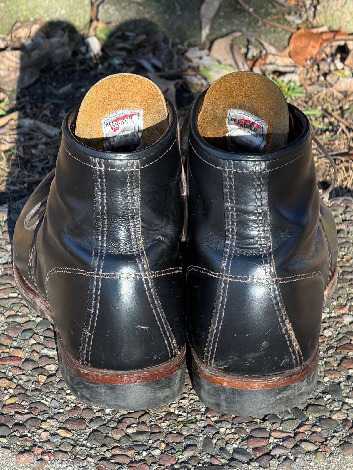 Photo by bootsandblocks on February 4, 2025 of the Red Wing Beckman Flatbox in S.B. Foot Black Klondike.