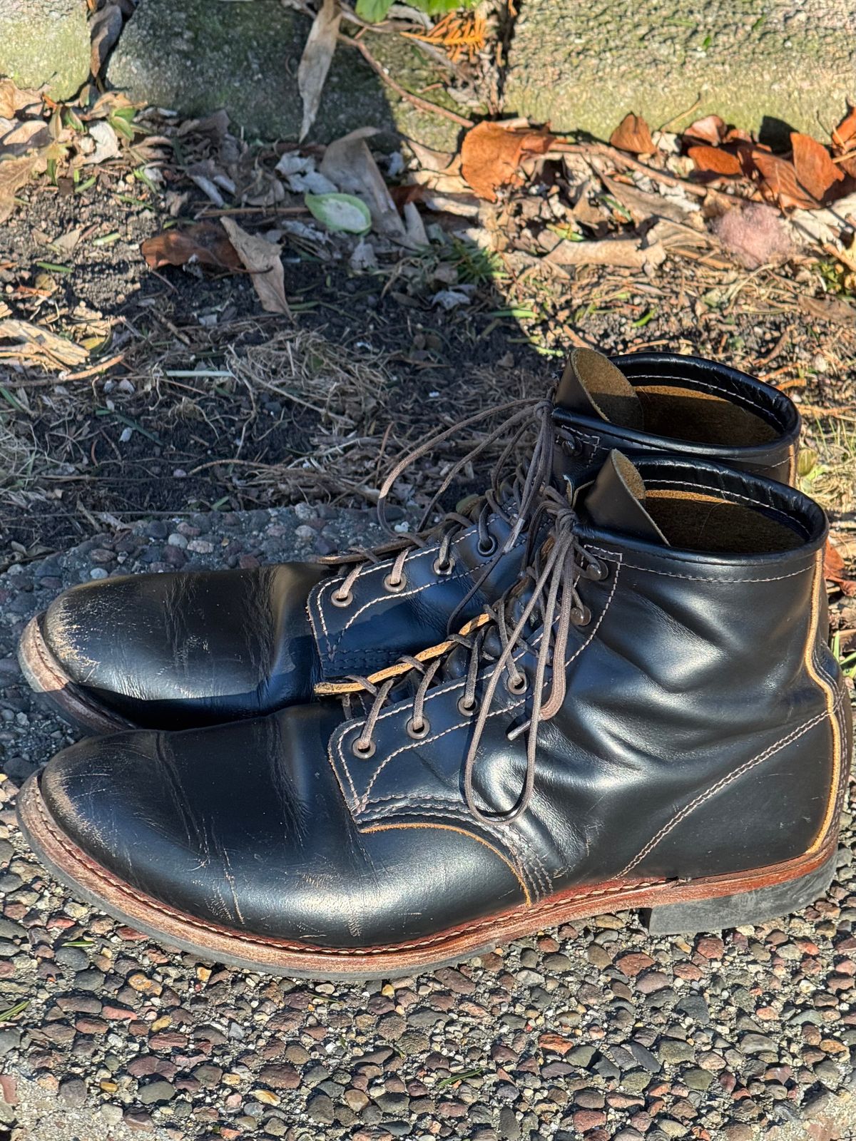Photo by bootsandblocks on February 4, 2025 of the Red Wing Beckman Flatbox in S.B. Foot Black Klondike.