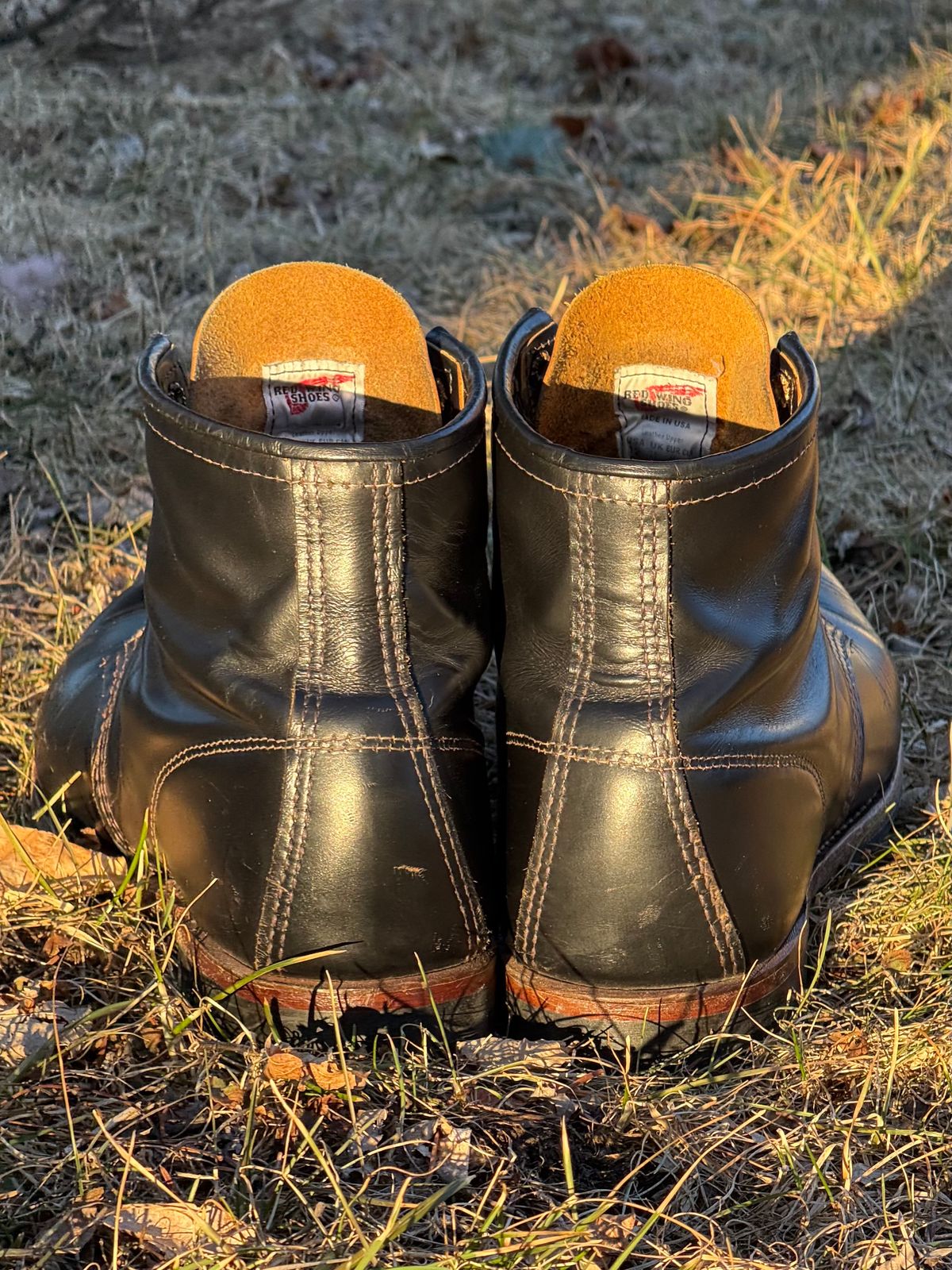 Photo by bootsandblocks on March 2, 2025 of the Red Wing Beckman Flatbox in S.B. Foot Black Klondike.