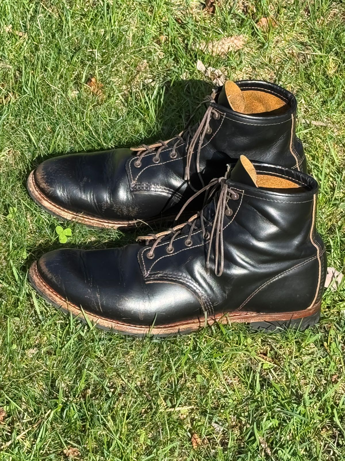 Photo by bootsandblocks on April 1, 2025 of the Red Wing Beckman Flatbox in S.B. Foot Black Klondike.