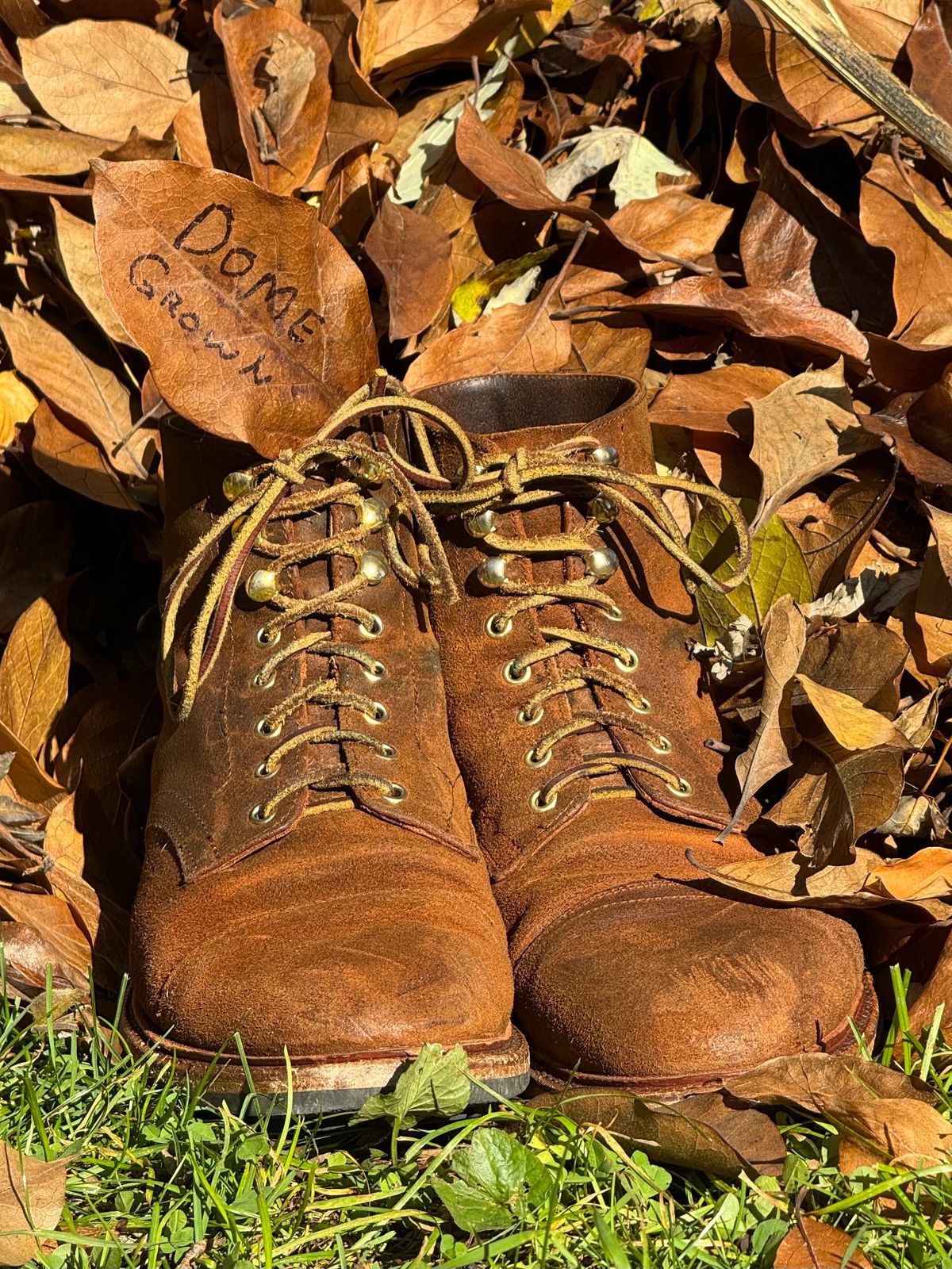 Photo by bootsandblocks on November 5, 2023 of the Parkhurst The Richmond in Rust Waxy.