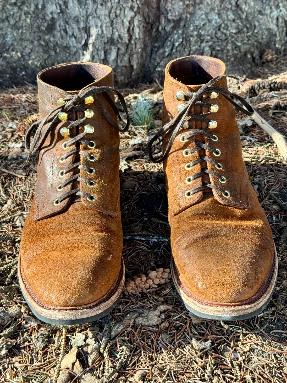 Photo by bootsandblocks on March 3, 2024 of the Parkhurst The Richmond in Rust Waxy.