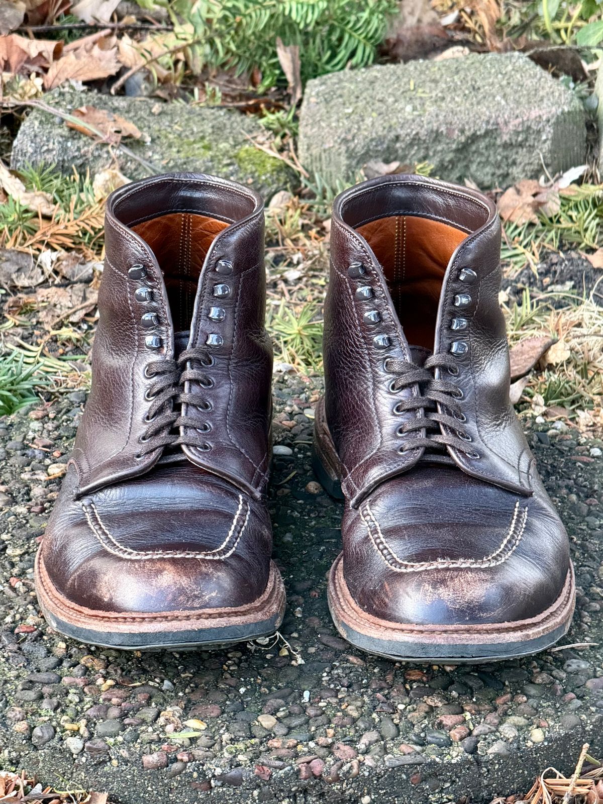 Photo by bootsandblocks on March 5, 2026 of the Alden Indy Boot in Horween Arabica Lux Calfskin.