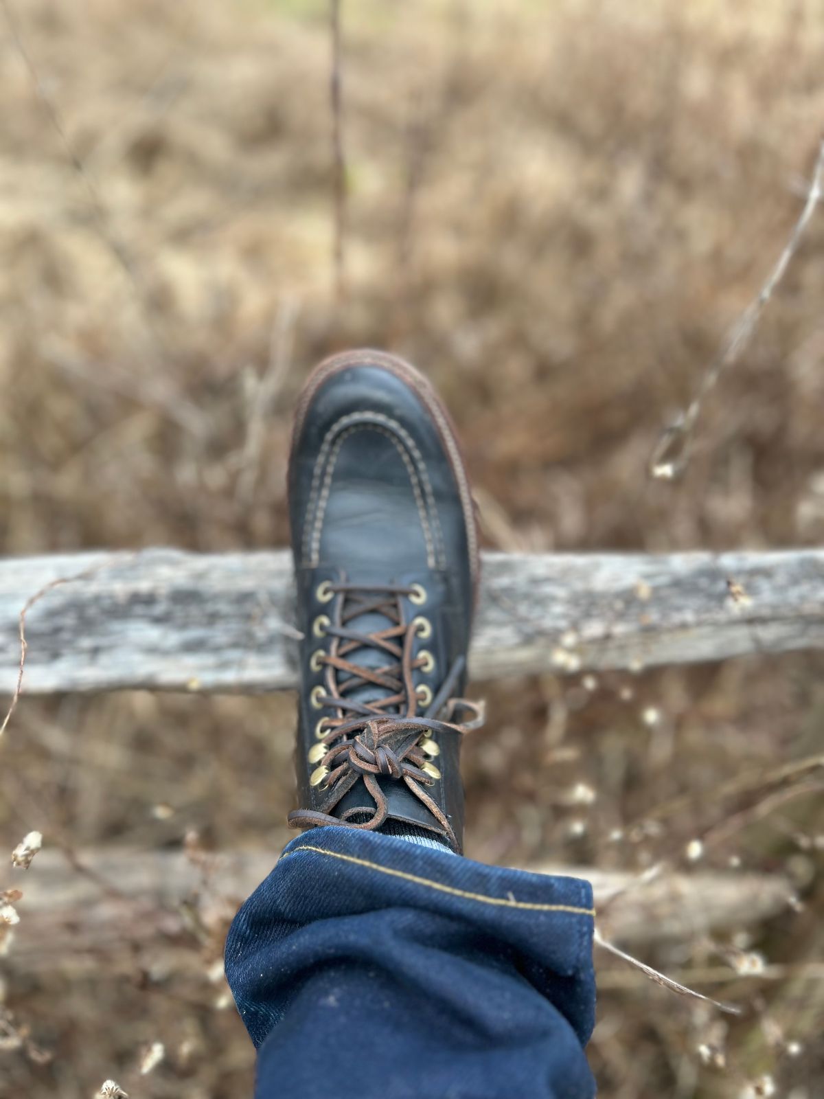 Photo by ezroller on January 14, 2024 of the Grant Stone Brass Boot in Horween Black Chromexcel.