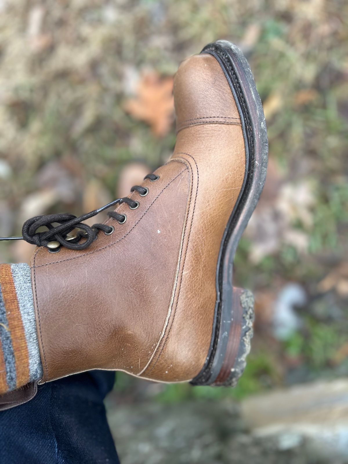 Photo by ezroller on January 11, 2024 of the Cheaney Stinton in Mole Kudu.