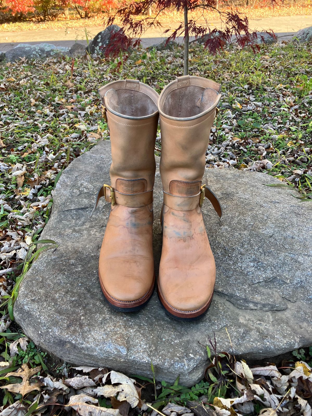 Photo by Bobs0108 on November 2, 2025 of the Imperium Custom Model in Indonesian Natural Pull Up.