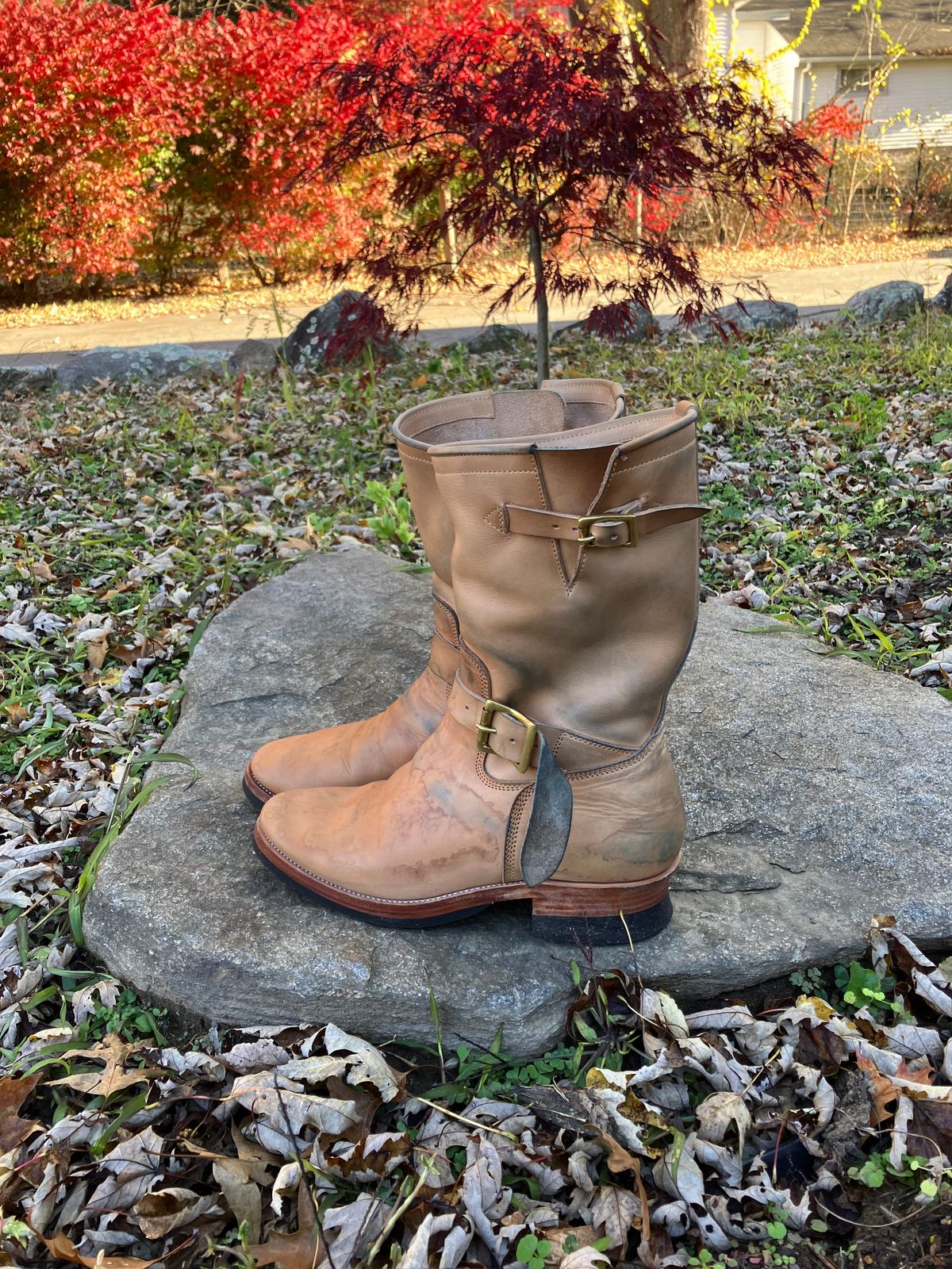 Photo by Bobs0108 on November 2, 2025 of the Imperium Custom Model in Indonesian Natural Pull Up.