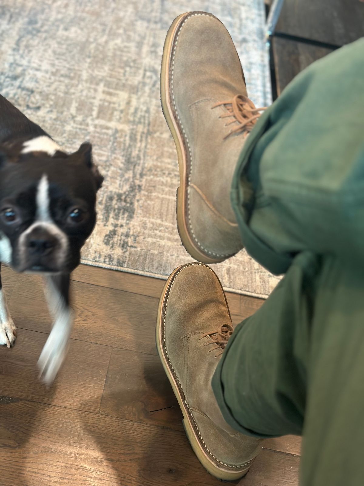 Photo by northsouthdenimguy on July 3, 2025 of the John Lofgren Sahara Tall Desert Boot in Japanese Suede Khaki.