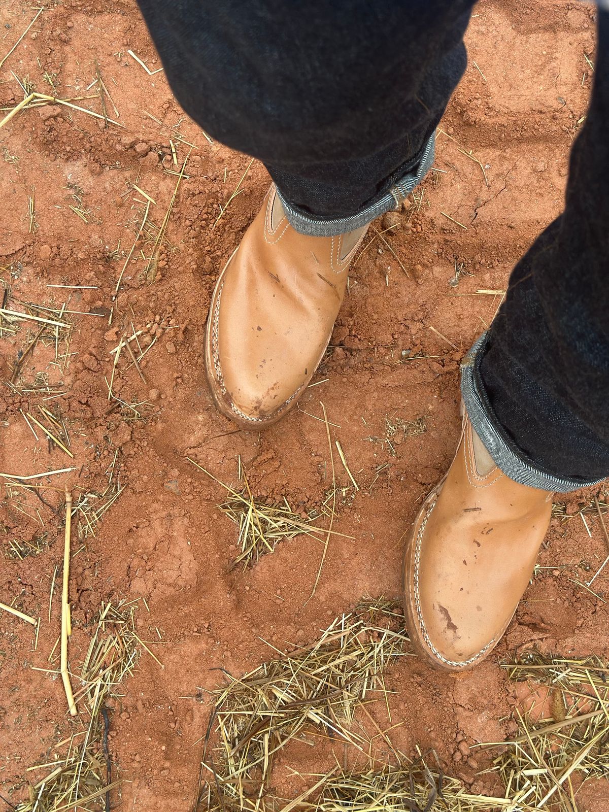 Photo by northsouthdenimguy on October 6, 2025 of the Wesco Morrison in Maryam Glazed Natural Horsehide.