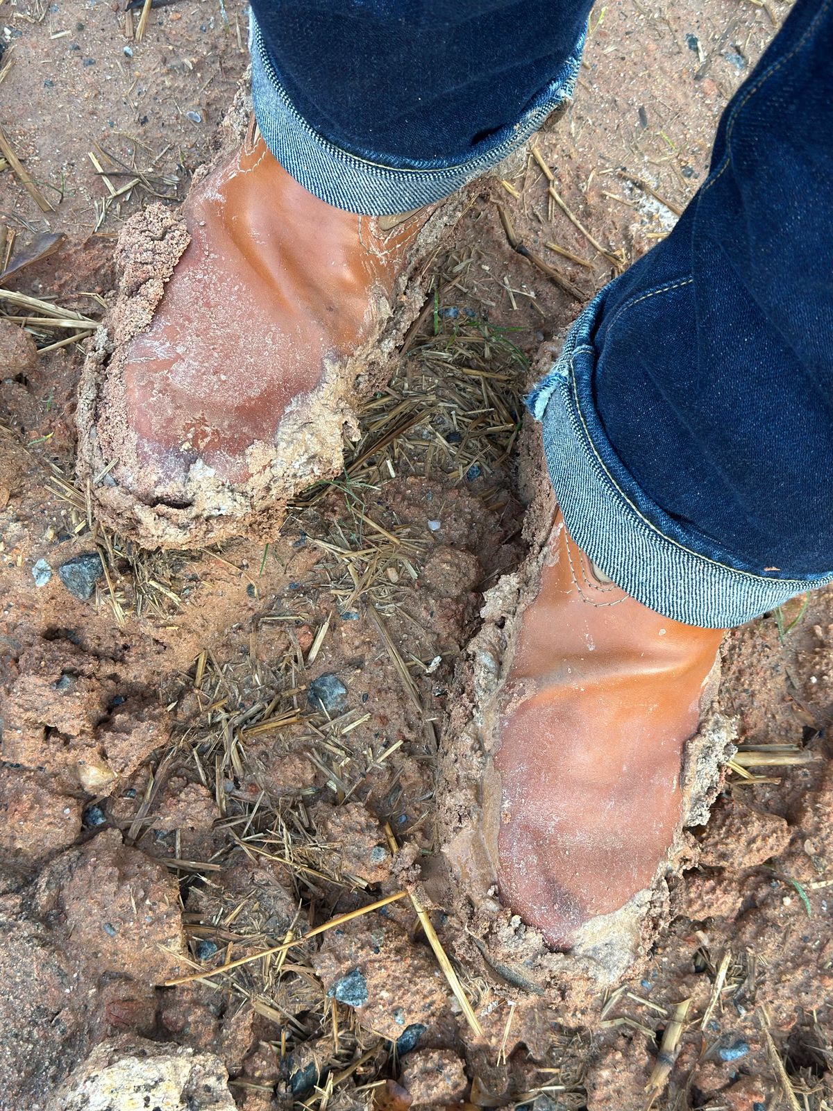 Photo by northsouthdenimguy on November 26, 2025 of the Wesco Morrison in Maryam Glazed Natural Horsehide.