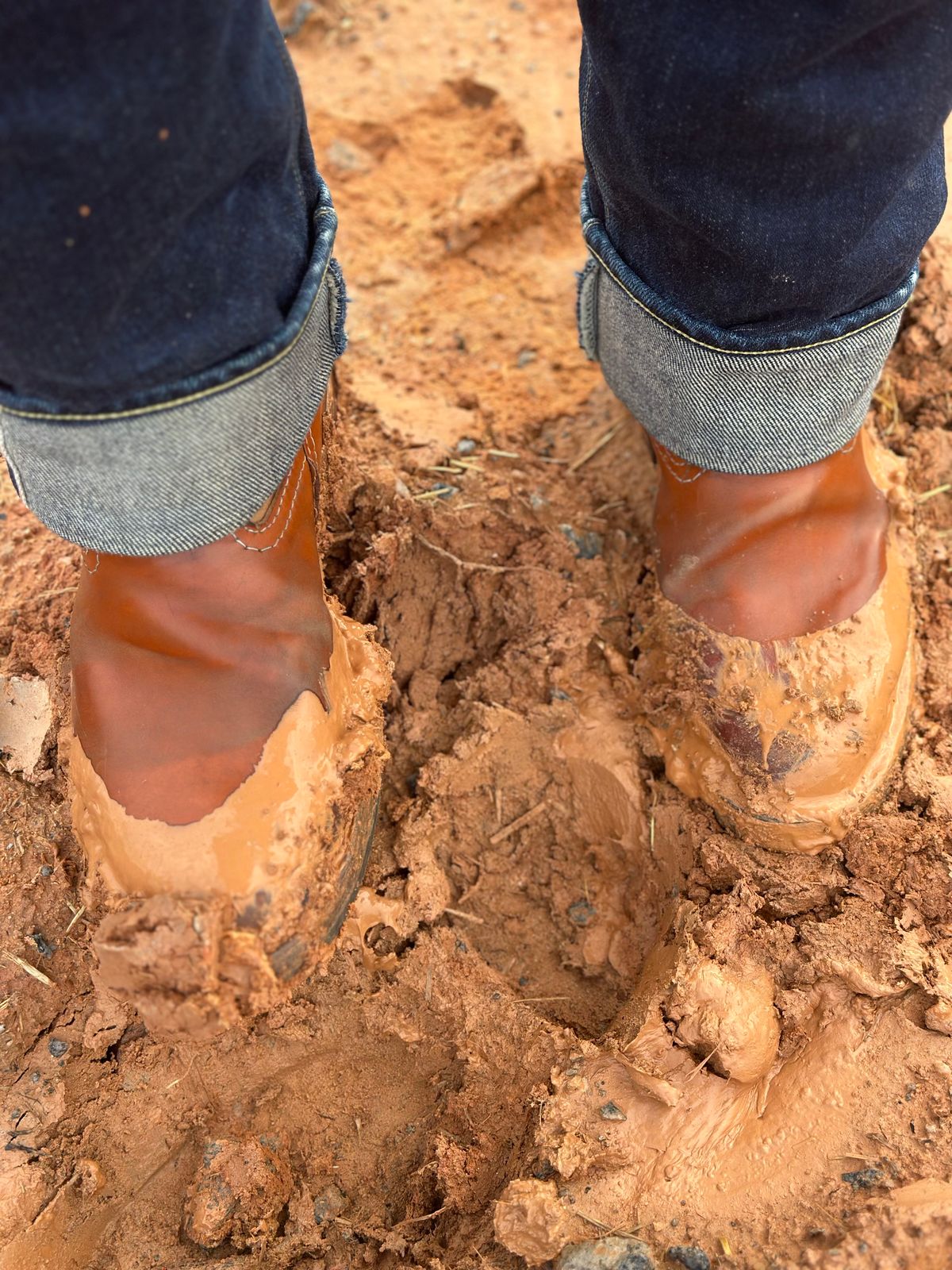 Photo by northsouthdenimguy on March 2, 2026 of the Wesco Morrison in Maryam Glazed Natural Horsehide.